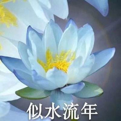 混乱封神gm版下载