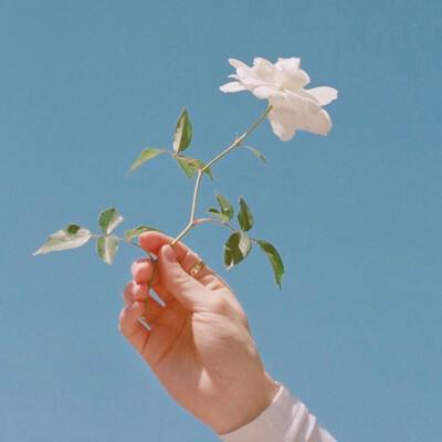 我是大矿主h5在线玩