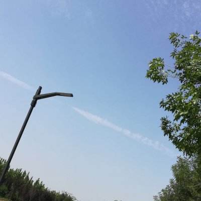 识字启蒙pro最新版下载